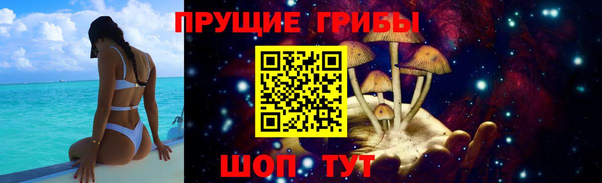 Псилоцибиновые грибы прущие грибы  Псилоцибиновые грибы мицелий  Нефтекумск  Вход с VPN 